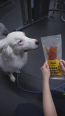 iPaw - Turkey Tendon for Dogs (Strip) SKU:IPCTTS05A-1tw-2