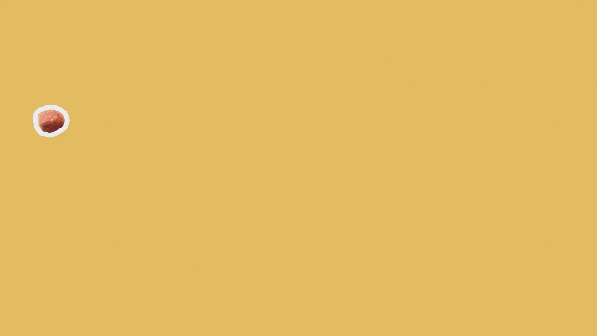 iPaw - Soft Treat for Cats (Chicken and Cranberry)-7
