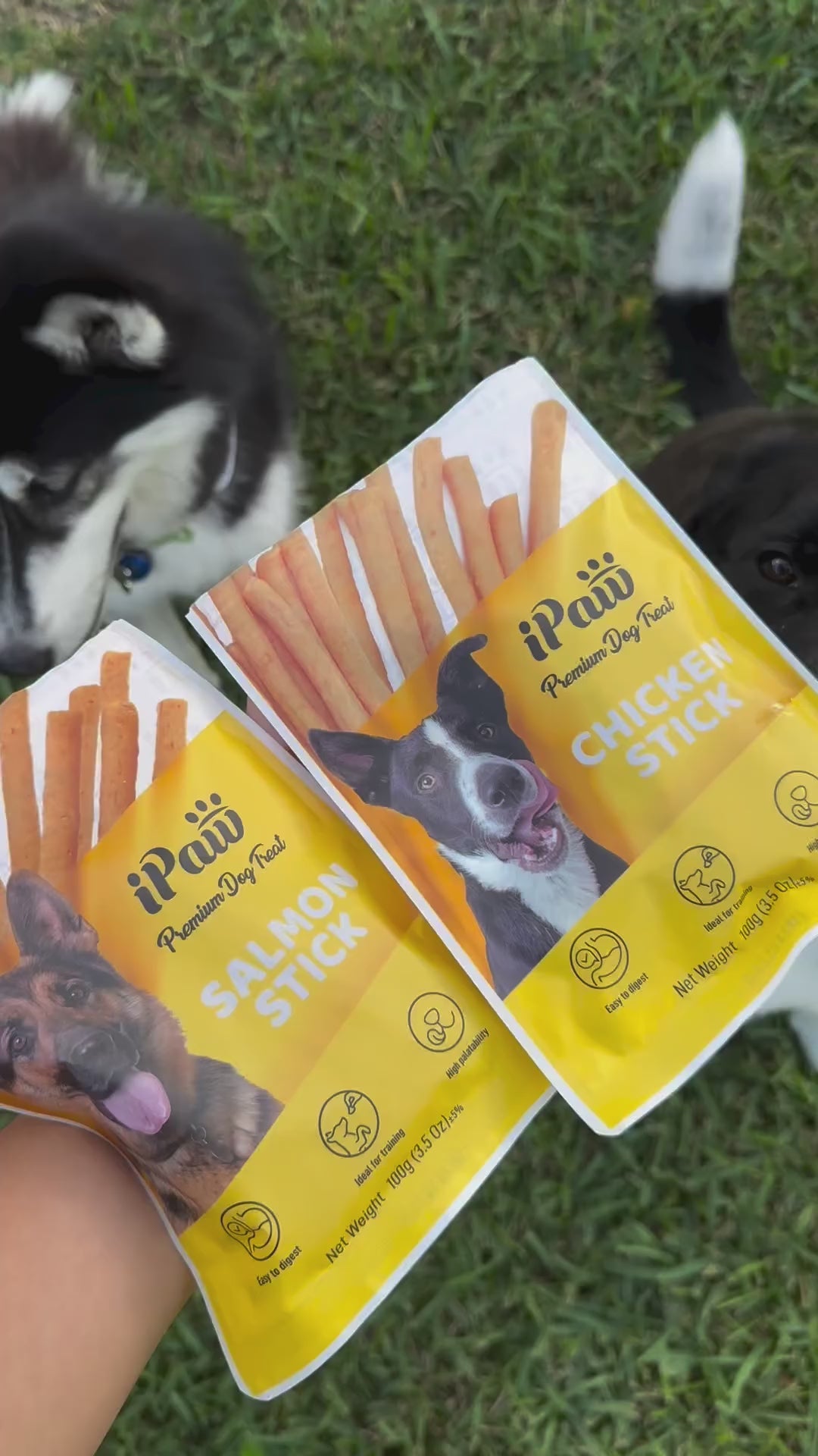 iPaw -  Chicken Stick - 0