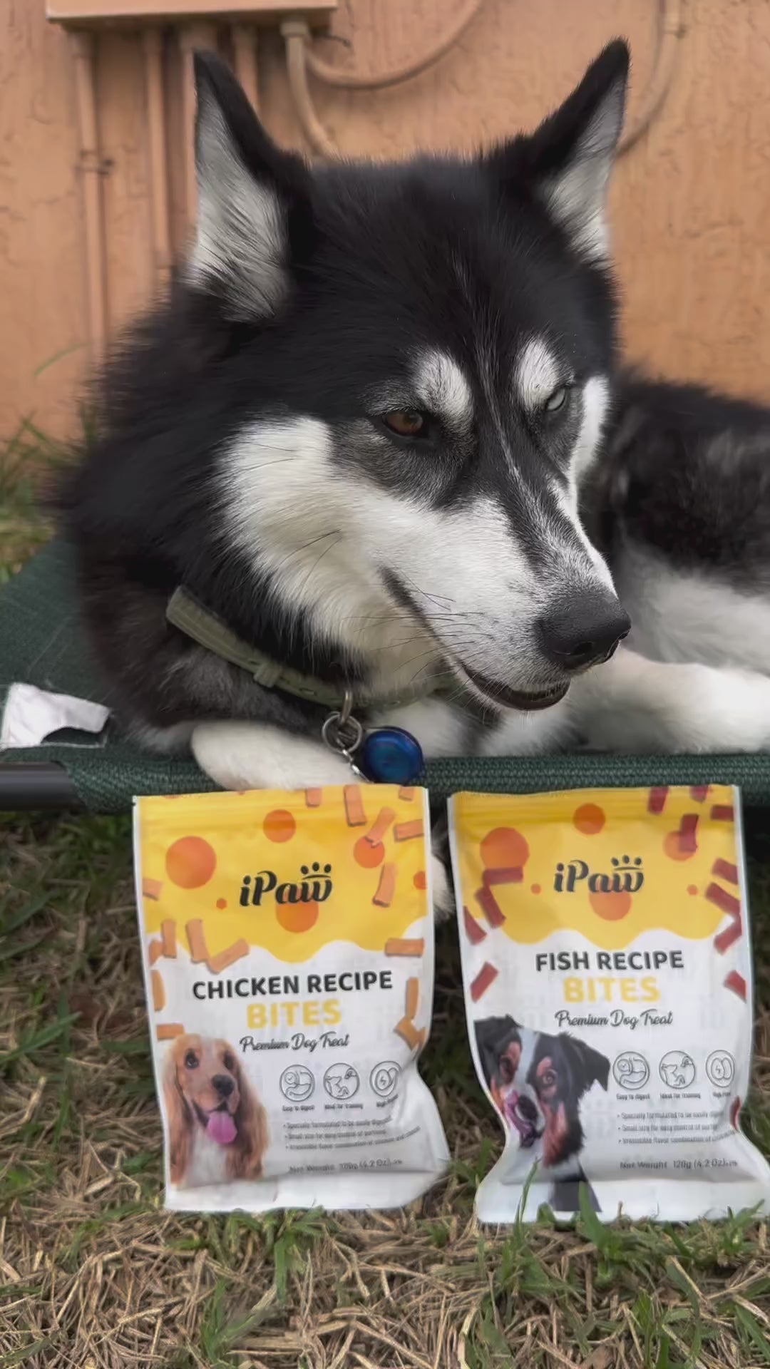 iPaw - Chicken Recipe Bites - 0