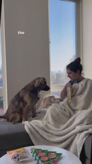 iPaw - Chicken Jerky Chips-2