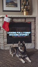 AFreschi & iPaw - Turkey Tendon for Dogs (Strip)-7