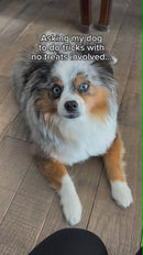 iPaw -  Sweet Potato Chews (3.5oz)-3