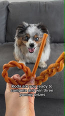iPaw - Turkey Meat (Braided Stick)-8