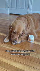 iPaw - Calming Chews for Dogs-2