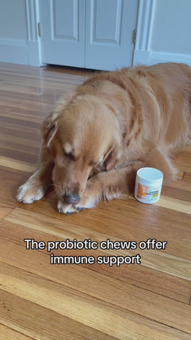 iPaw - Calming Chews for Dogs - 0