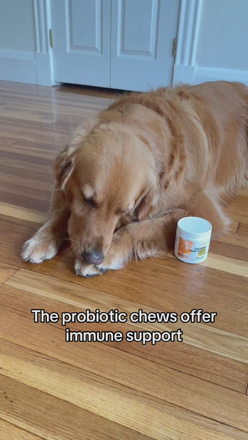 iPaw - Calming Chews for Dogs - 0