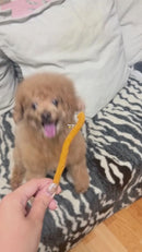 iPaw -  Turkey Meat with Duck Liver (Thin Stick)-7