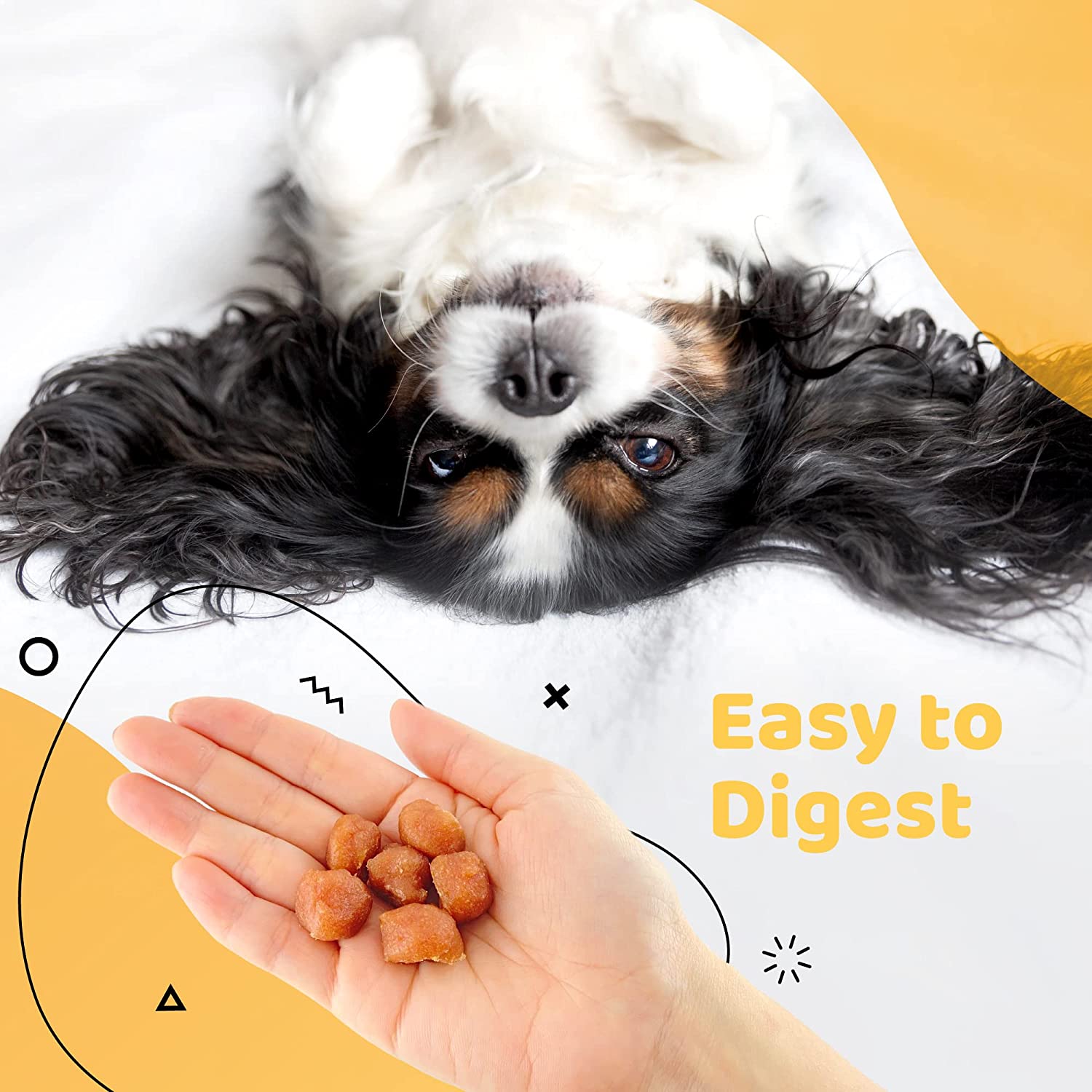 iPaw - Turkey Tendon for Dogs (Turkey Tots)