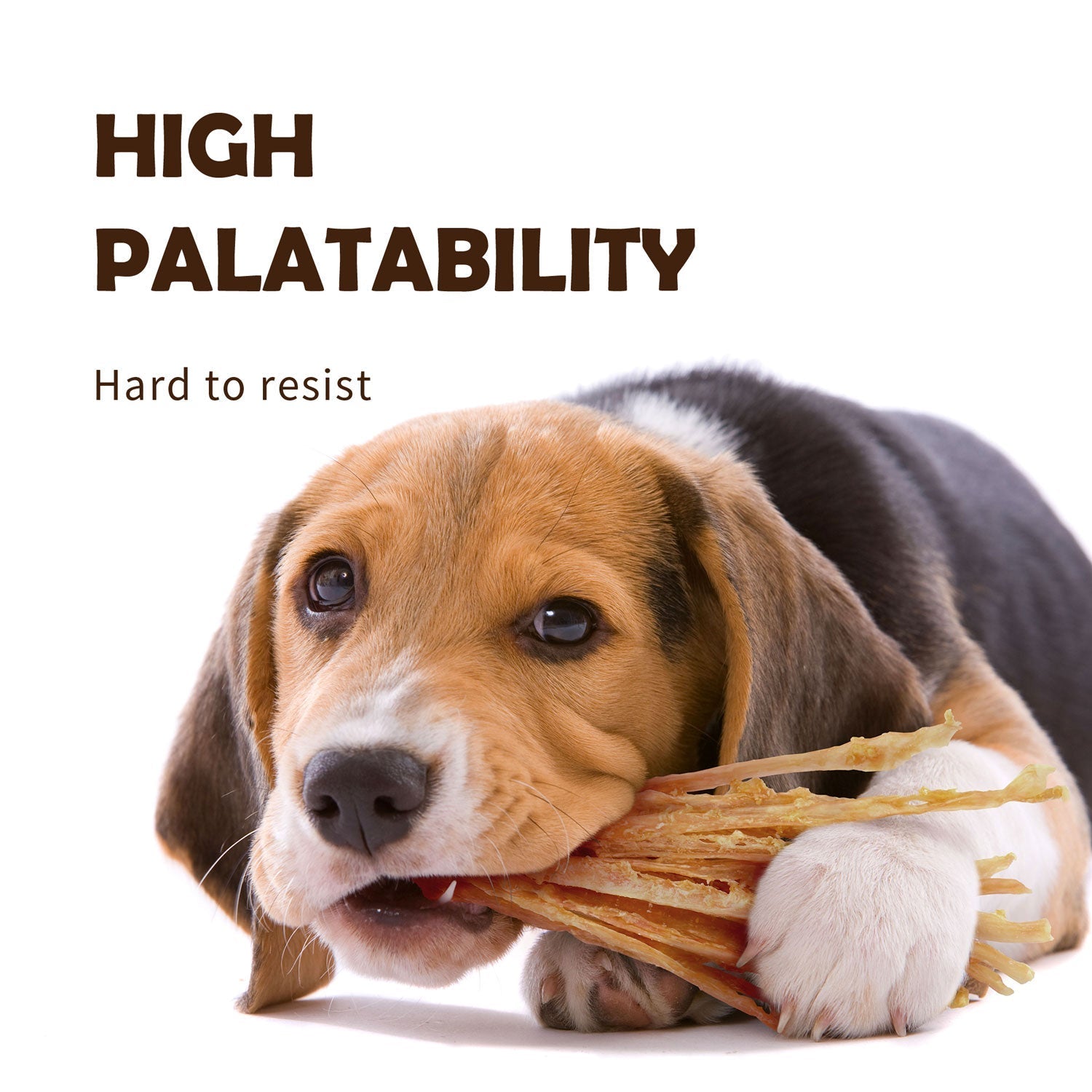 AFreschi & iPaw - Turkey Tendon for Dogs (Strip)